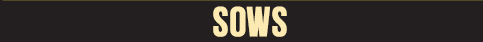 Sows