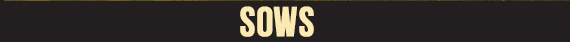 Sows